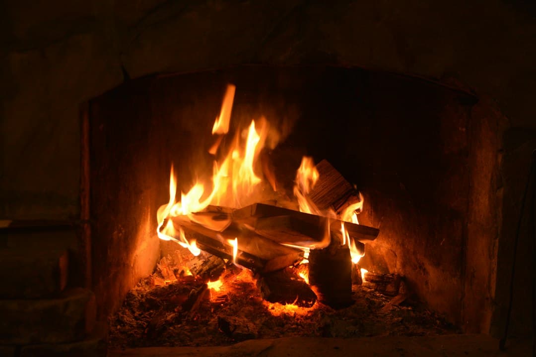 burning wood in fire pit